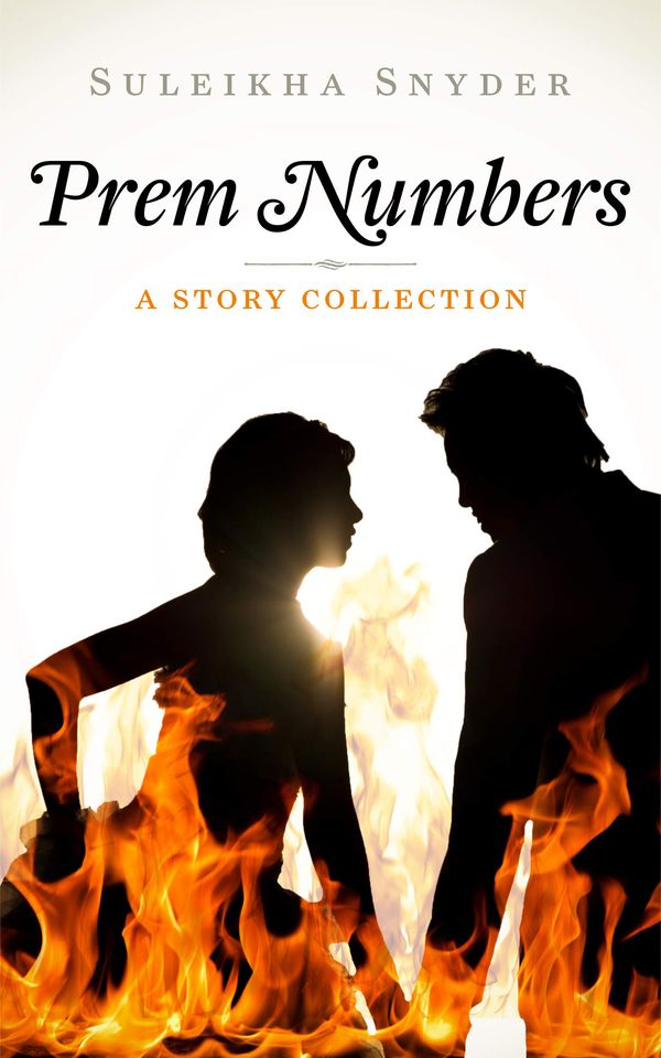Prem Numbers Book Cover