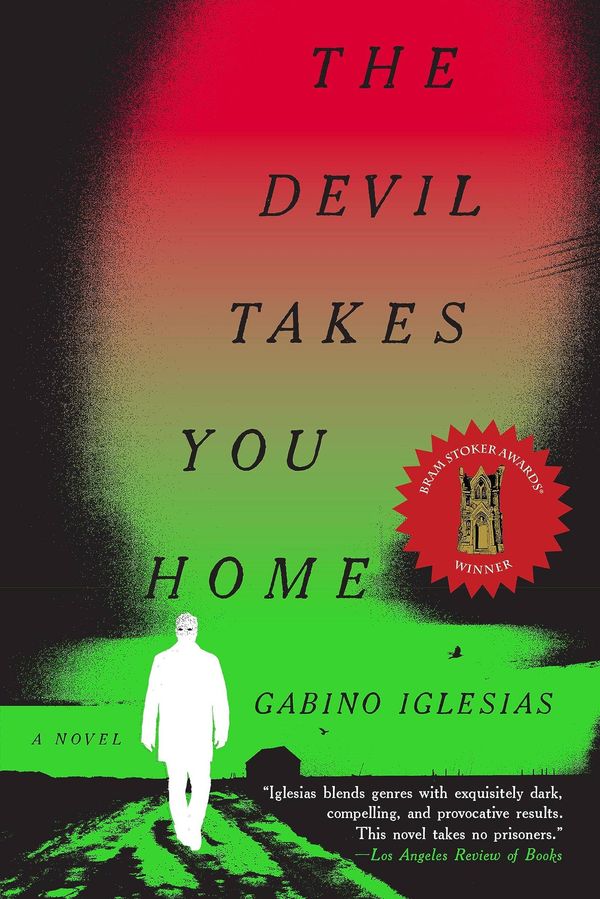The Devil Takes You Home Book Cover