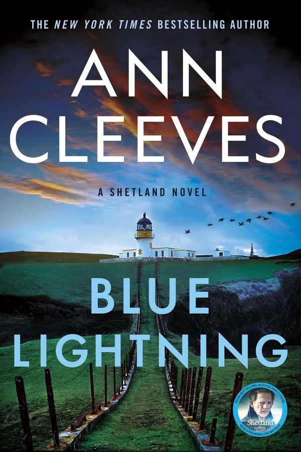 Blue Lightning Book Cover