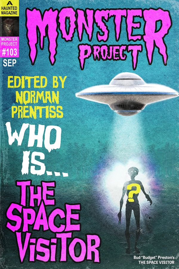 The Space Visitor Book Cover