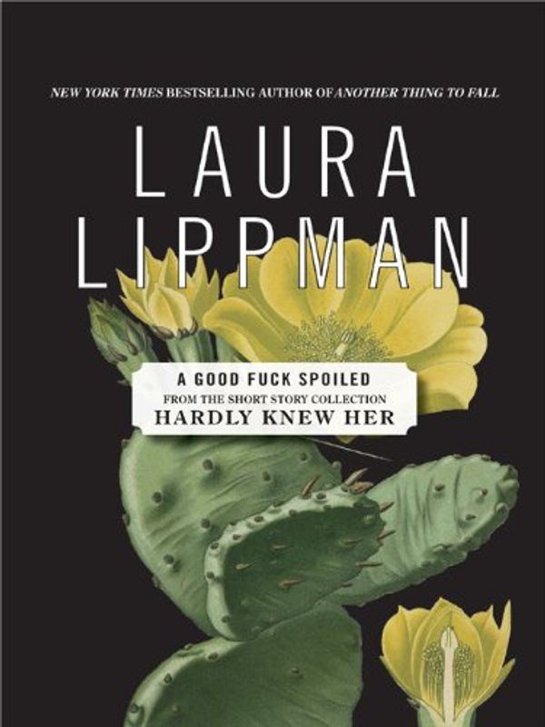 A Good Fuck Spoiled Book Cover