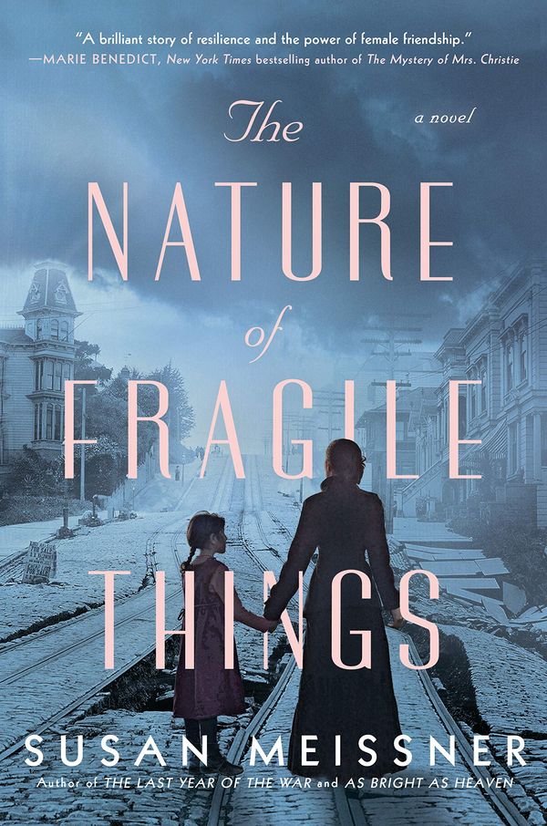 The Nature of Fragile Things Book Cover