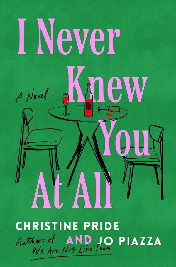 I Never Knew You at All Book Cover
