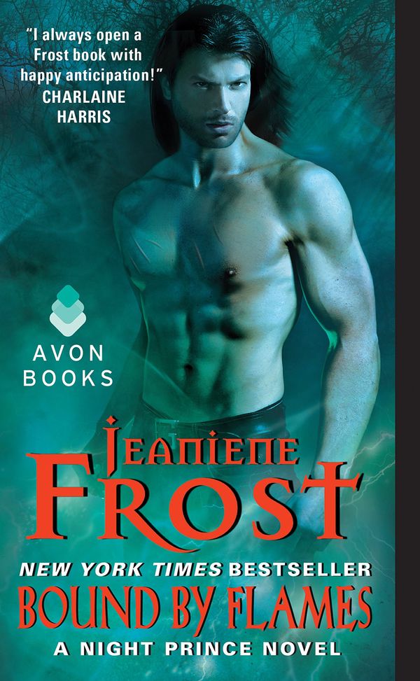 Bound by Flames Book Cover