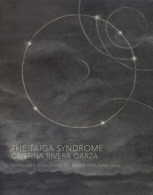 The Taiga Syndrome Book Cover