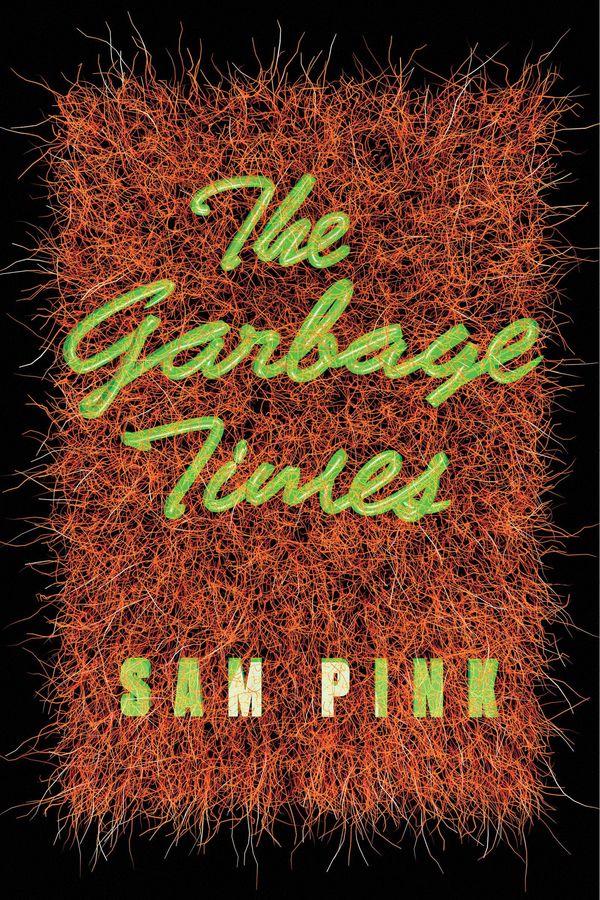 The Garbage Times/White Ibis Book Cover