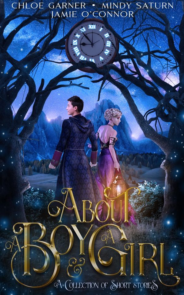 About a Boy and a Girl Book Cover