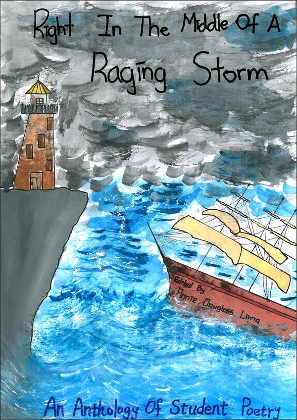 Right in the Middle of a Raging Storm Book Cover