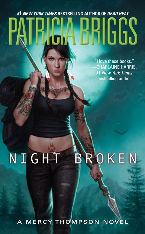 Night Broken Book Cover