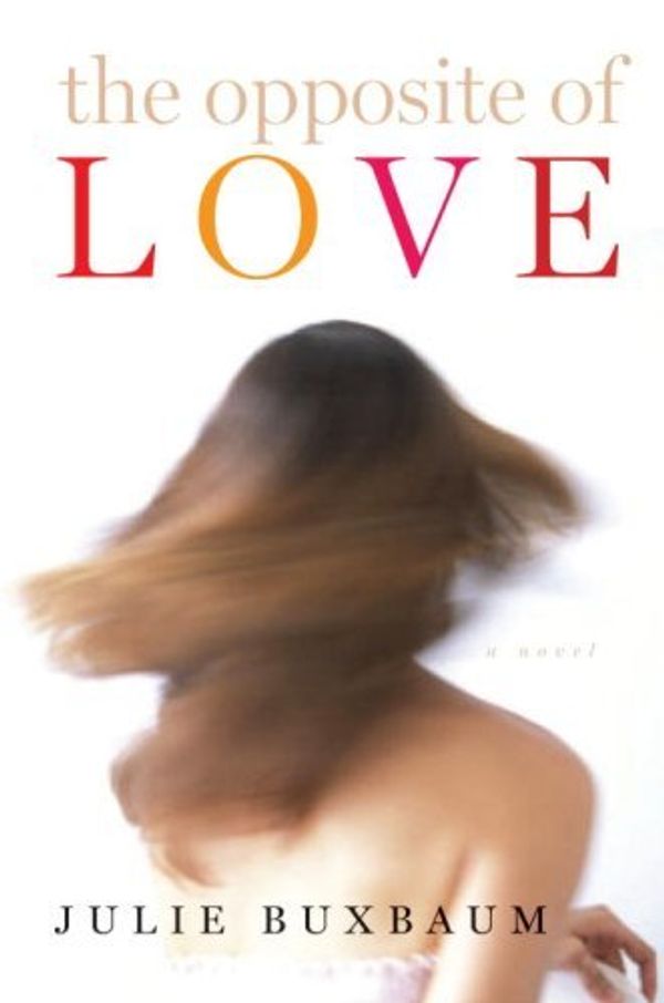 The Opposite of Love Book Cover