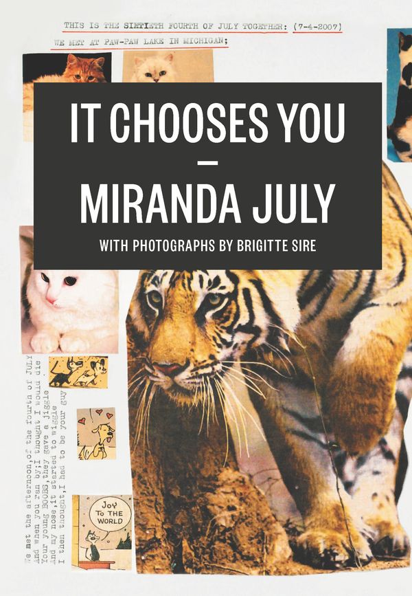 It Chooses You Book Cover