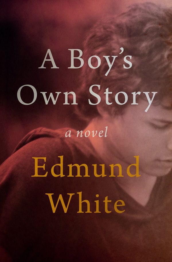 A Boy's Own Story Book Cover