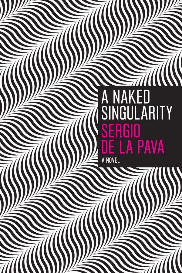 A Naked Singularity Book Cover