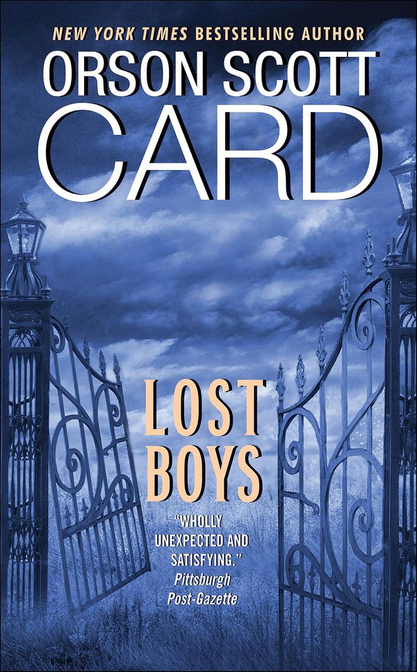 Lost Boys Book Cover