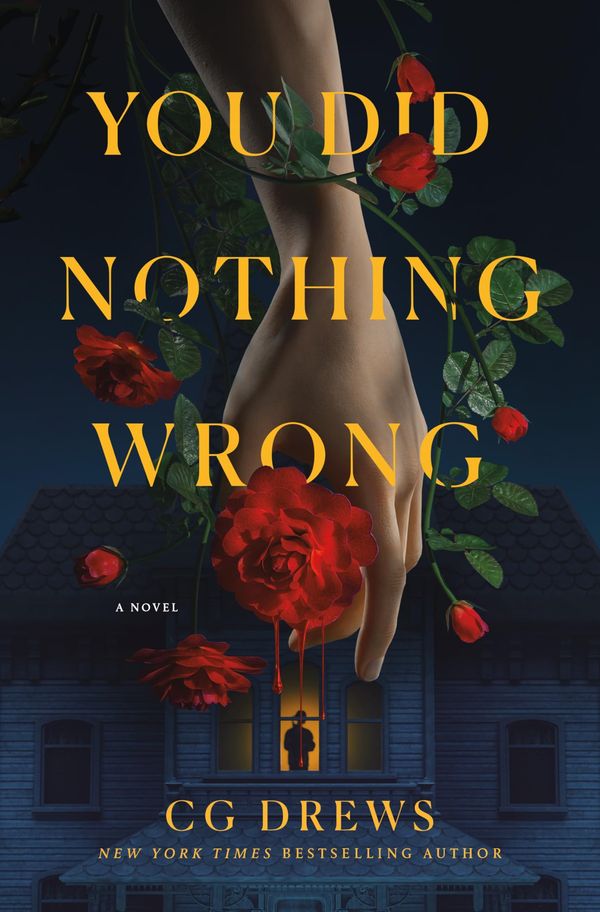 You Did Nothing Wrong Book Cover