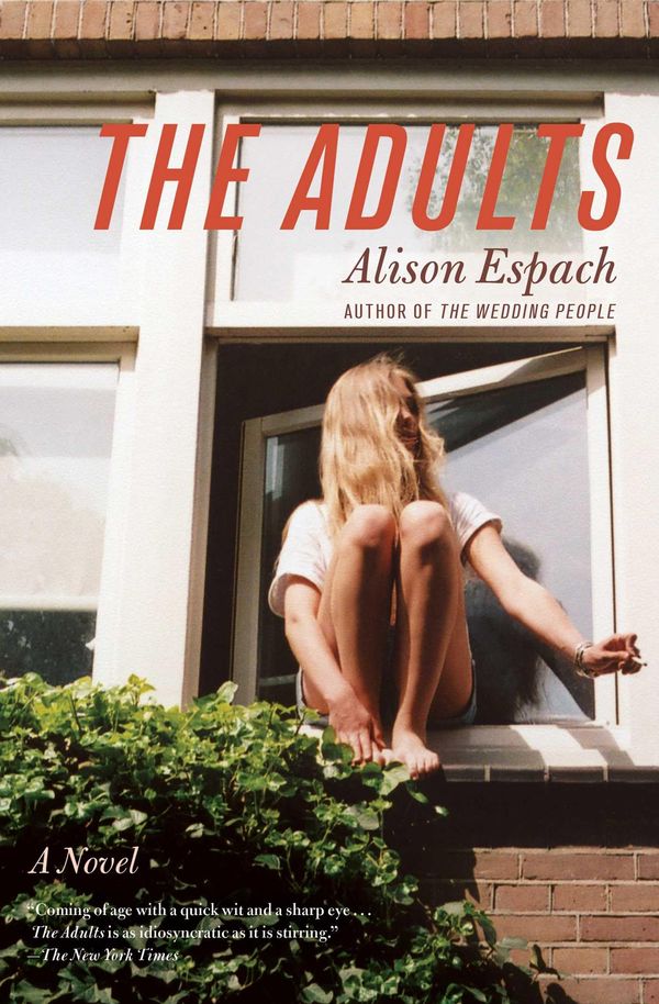 The Adults Book Cover