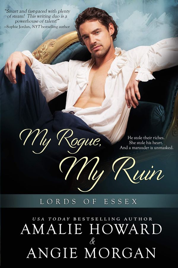 My Rogue, My Ruin Book Cover