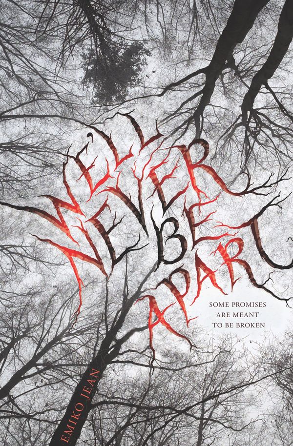 We'll Never Be Apart Book Cover