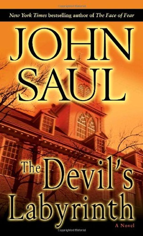 The Devil's Labyrinth Book Cover