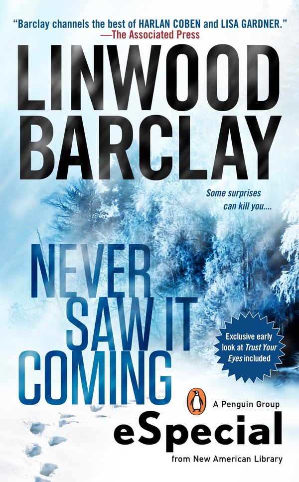 Never Saw It Coming Book Cover
