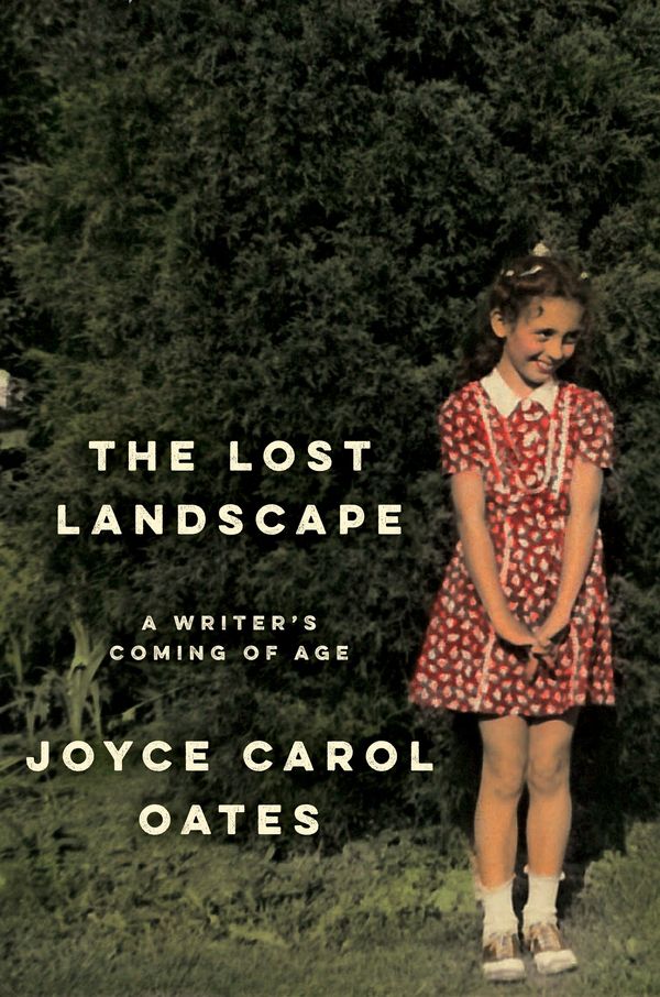 The Lost Landscape Book Cover