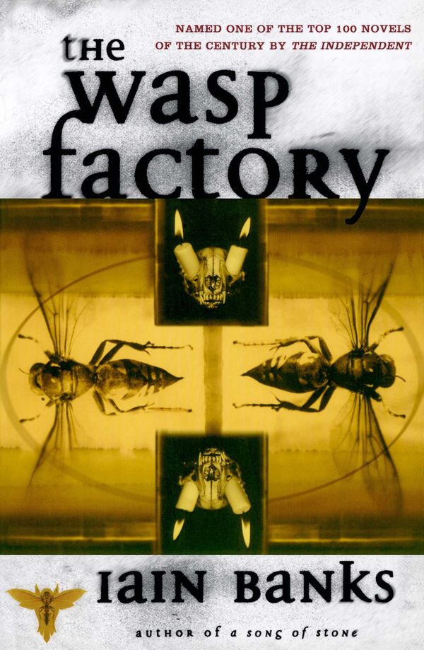The Wasp Factory Book Cover
