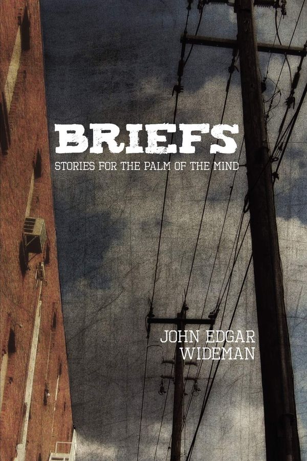 Briefs Book Cover