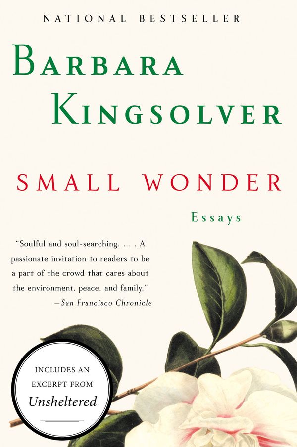 Small Wonder Book Cover