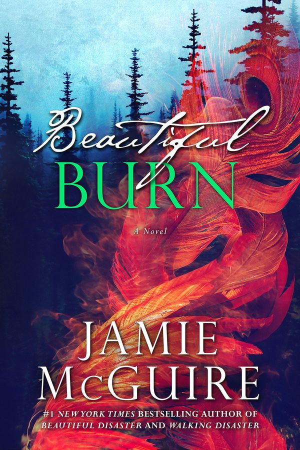 Beautiful Burn Book Cover