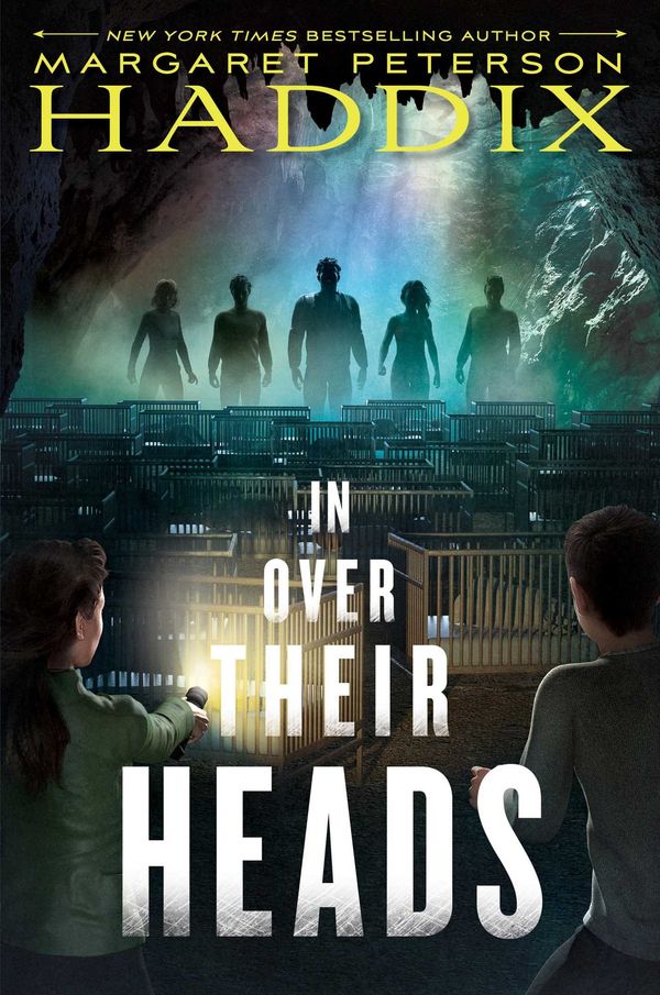 In Over Their Heads Book Cover