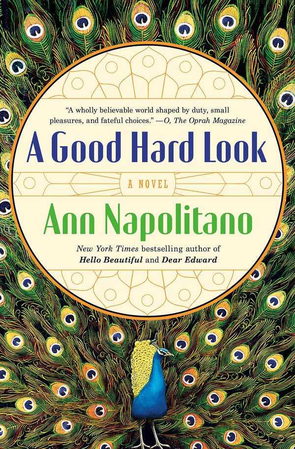A Good Hard Look Book Cover