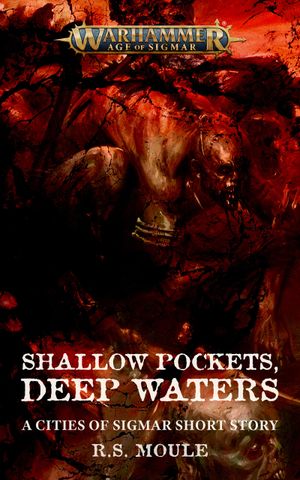 Shallow Pockets Deep Waters