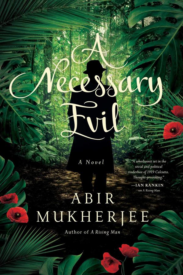A Necessary Evil Book Cover