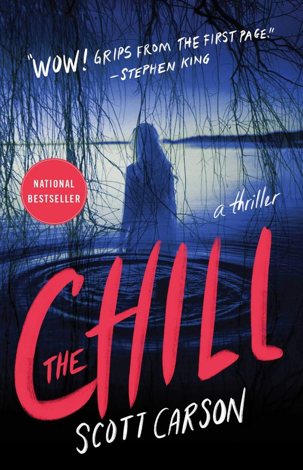 The Chill Book Cover