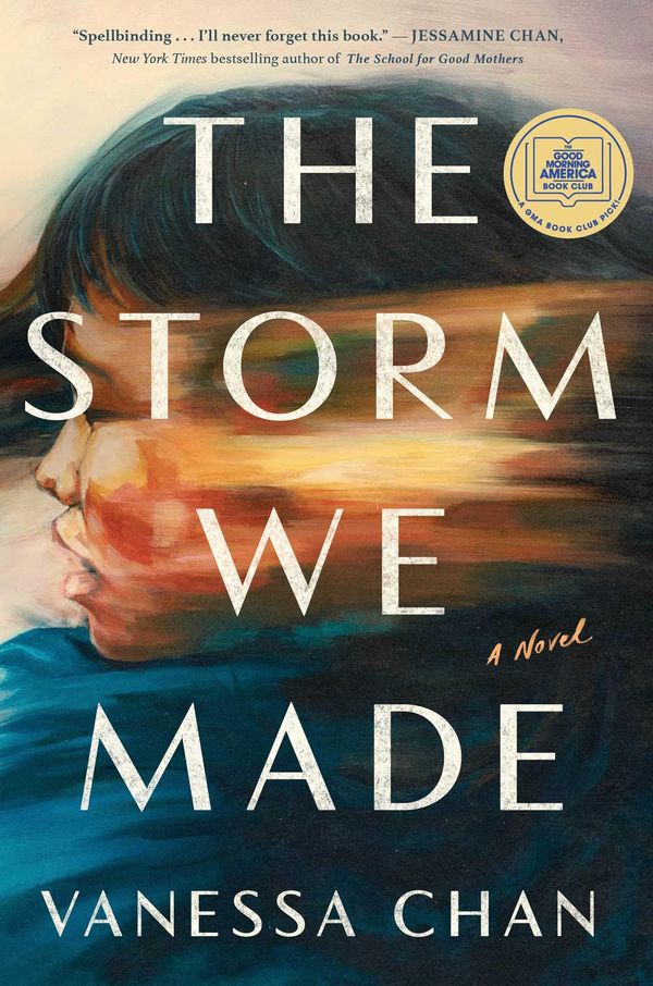 The Storm We Made Book Cover