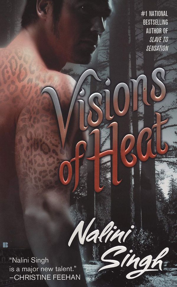 Visions of Heat cover