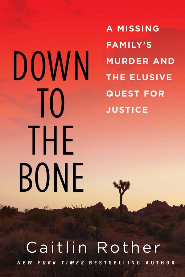 Down to the Bone Book Cover