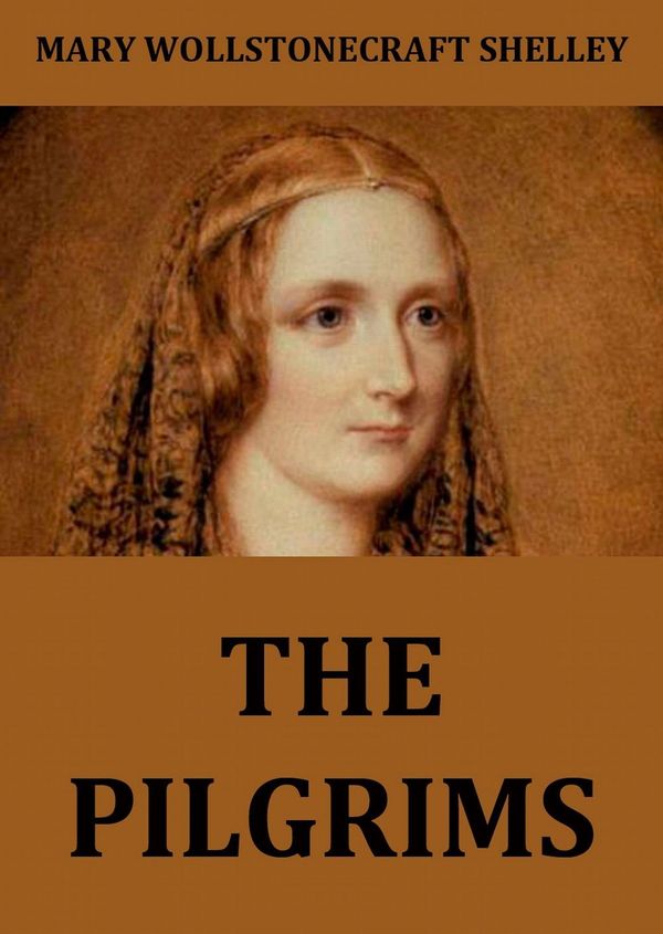 The Pilgrims Book Cover