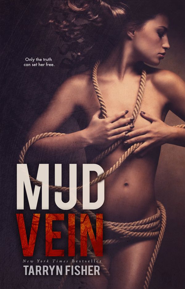 Mud Vein Book Cover