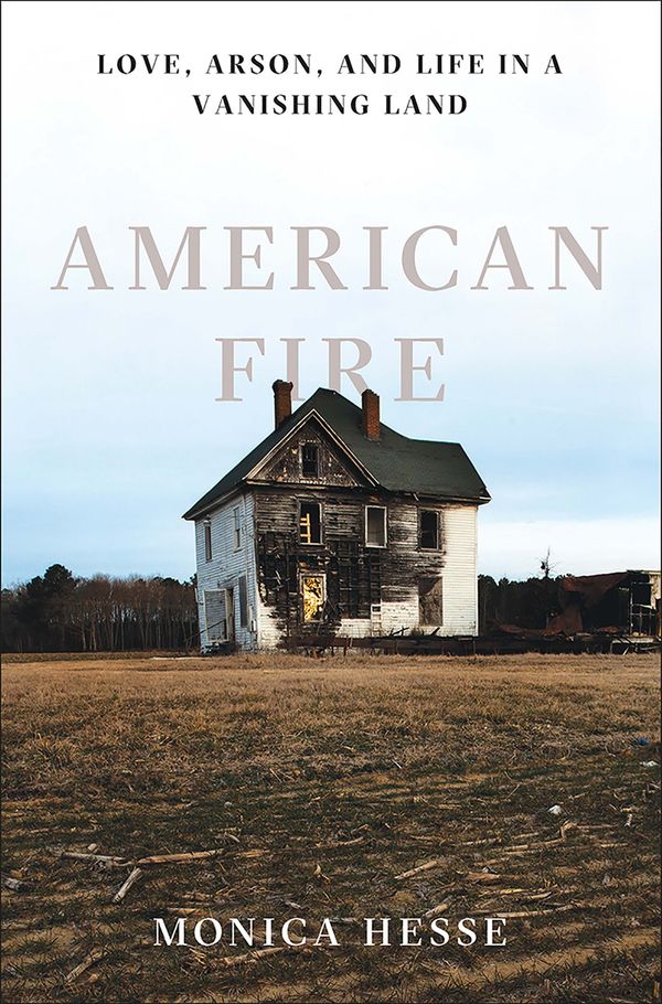 American Fire Book Cover