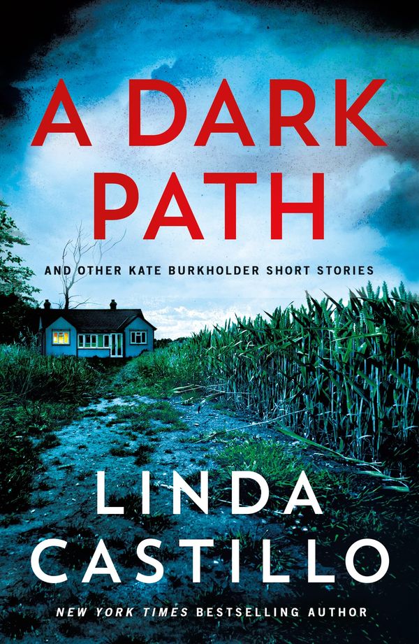A Dark Path Book Cover
