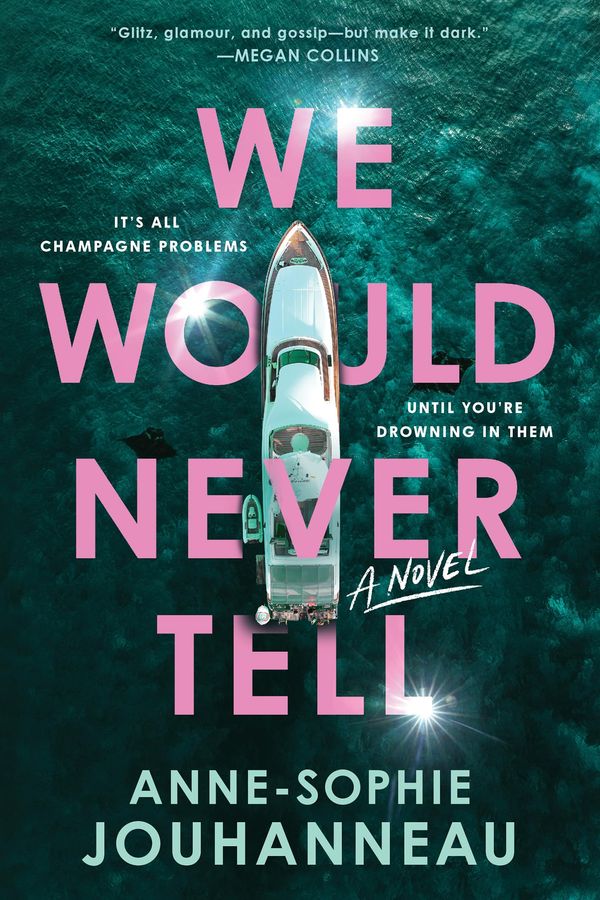 We Would Never Tell Book Cover