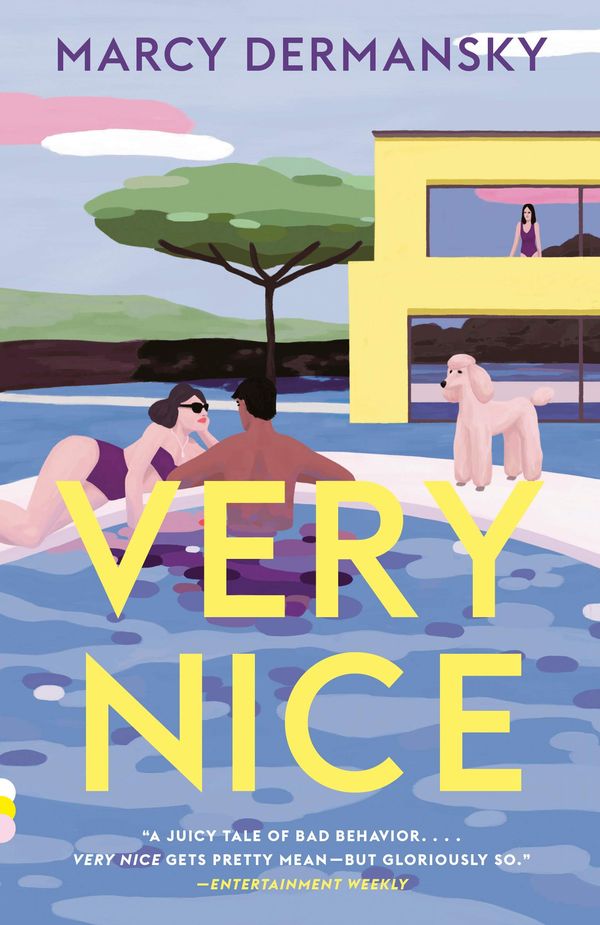 Very Nice Book Cover