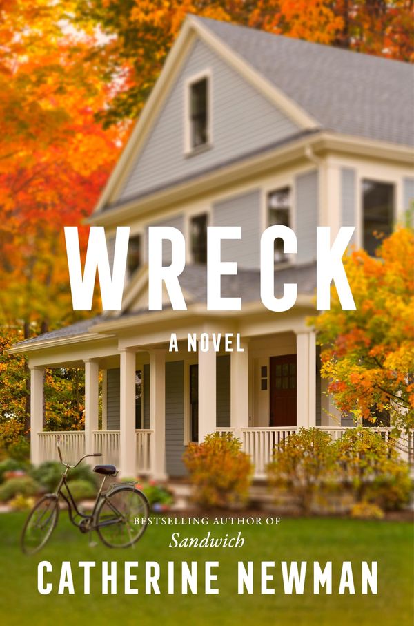 Wreck Book Cover