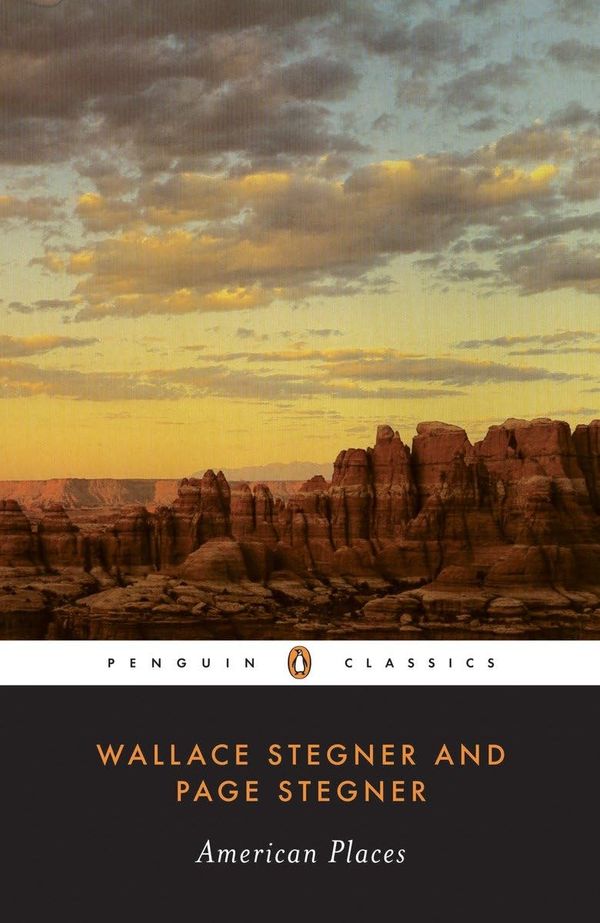 American Places Book Cover