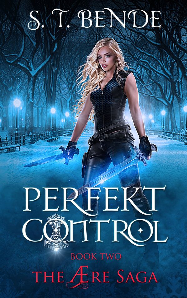Perfekt Control Book Cover