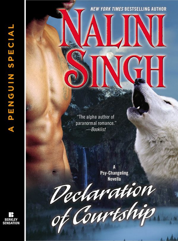 Declaration of Courtship Book Cover