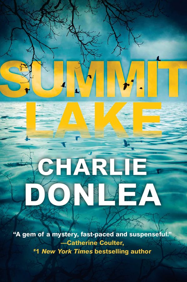 Summit Lake Book Cover