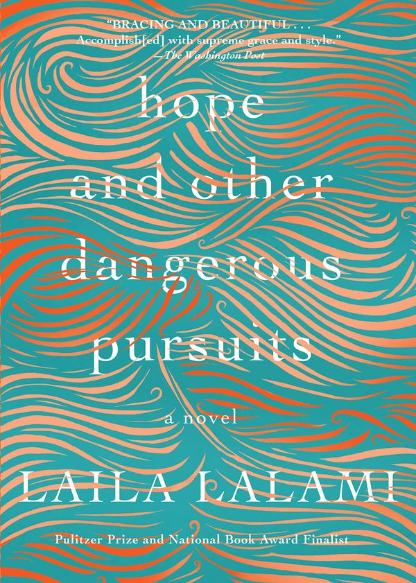 Hope and Other Dangerous Pursuits Book Cover
