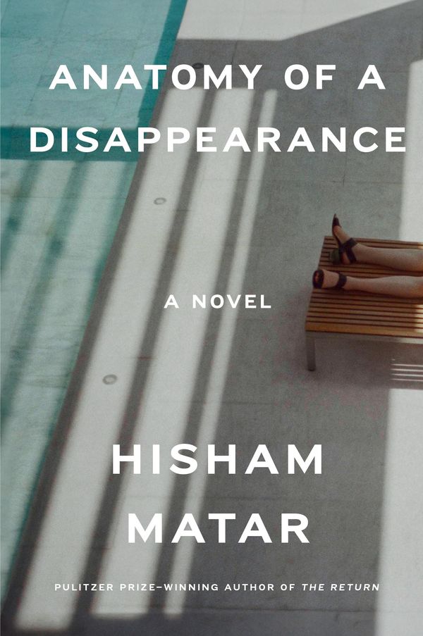 Anatomy of a Disappearance Book Cover